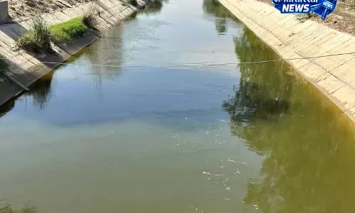 Punjab: नहर के ज़हरीले पानी की जांच के लिए राज्यपाल ने रिपोर्ट मांगी Punjab: नहर के ज़हरीले पानी की जांच के लिए राज्यपाल ने रिपोर्ट मांगी