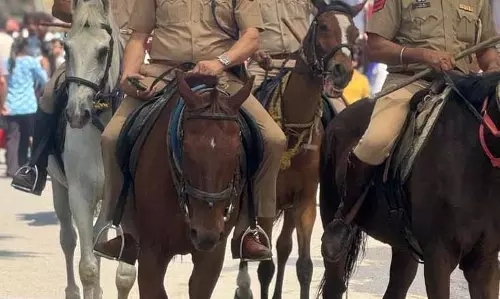 Nakodar मेले में सुरक्षा व्यवस्था सख्त, यातायात पाबंदियां लागू Nakodar मेले में सुरक्षा व्यवस्था सख्त, यातायात पाबंदियां लागू
