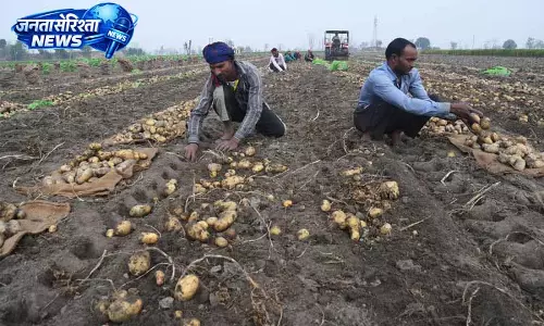 Ludhiana में मजदूर दिवस पर कृषि क्षेत्र के श्रमिकों का सम्मान और उत्सव
