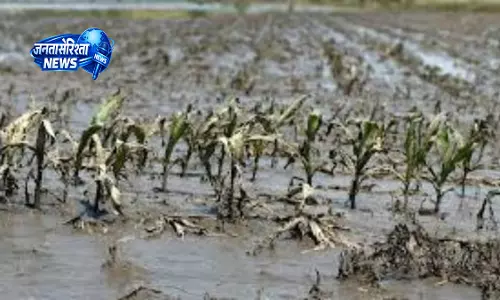 Tripura में भारी बारिश से फसलों को बड़ा नुकसान, 59 करोड़ रुपये से अधिक की क्षति Tripura में भारी बारिश से फसलों को बड़ा नुकसान, 59 करोड़ रुपये से अधिक की क्षति