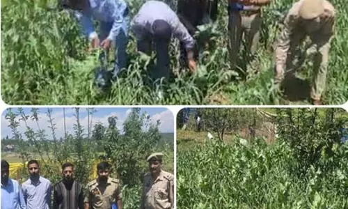पुलिस की कार्रवाई से ड्रग नेटवर्क पर कसा शिकंजा पुलिस की कार्रवाई से ड्रग नेटवर्क पर कसा शिकंजा