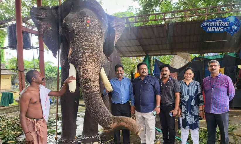Kerala : कूड़लमणिक्यम उत्सव से पहले हाथियों की सुरक्षा जांच तेज Kerala : कूड़लमणिक्यम उत्सव से पहले हाथियों की सुरक्षा जांच तेज