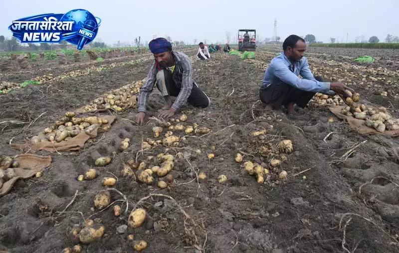 Ludhiana में मजदूर दिवस पर कृषि क्षेत्र के श्रमिकों का सम्मान और उत्सव Ludhiana में मजदूर दिवस पर कृषि क्षेत्र के श्रमिकों का सम्मान और उत्सव