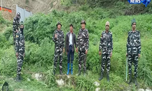 BOMDILA: एसएसबी और पुलिस ने जंगली भांग की नष्ट BOMDILA: एसएसबी और पुलिस ने जंगली भांग की नष्ट