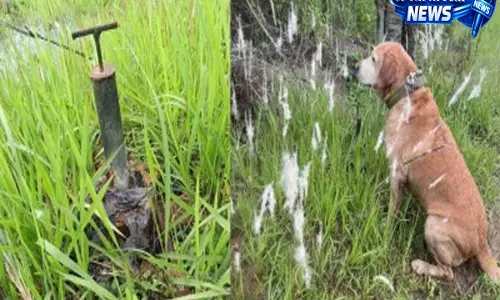 Manipur : भारतीय सेना ने चुराचांदपुर में संदिग्ध विस्फोटक उपकरण को निष्क्रिय किया Manipur : भारतीय सेना ने चुराचांदपुर में संदिग्ध विस्फोटक उपकरण को निष्क्रिय किया