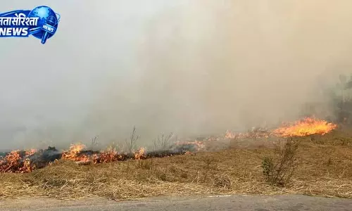 Mansa में पराली जलाने पर 18 पर केस, दो लोग गिरफ्तार Mansa में पराली जलाने पर 18 पर केस, दो लोग गिरफ्तार