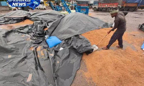 Ludhiana में अनाज बाजार की निर्माण खामियां बारिश में आईं सामने
