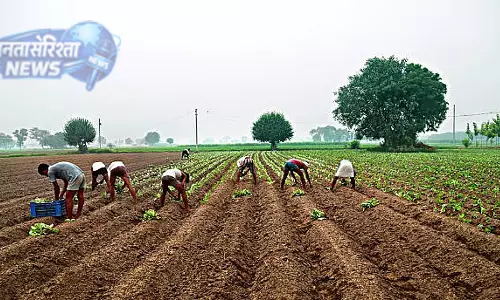 Tanzania में हरियाणा के किसानों और उद्यमियों के लिए नए निवेश अवसर Tanzania में हरियाणा के किसानों और उद्यमियों के लिए नए निवेश अवसर