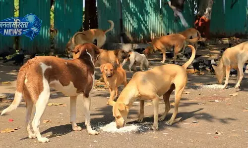 Dhanbad : दर्दनाक घटना, आवारा कुत्तों के हमले में 5 वर्षीय बच्चे की मौत Dhanbad : दर्दनाक घटना, आवारा कुत्तों के हमले में 5 वर्षीय बच्चे की मौत