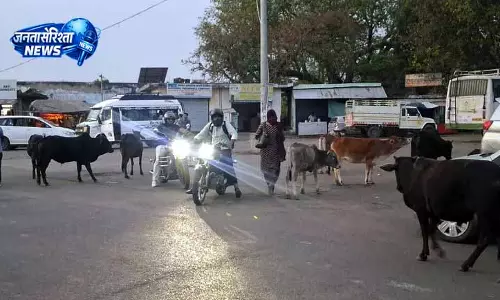 Kangra का पर्यटन सपना बाधाओं में फंसा, मुख्य समस्याओं पर ध्यान नहीं Kangra का पर्यटन सपना बाधाओं में फंसा, मुख्य समस्याओं पर ध्यान नहीं