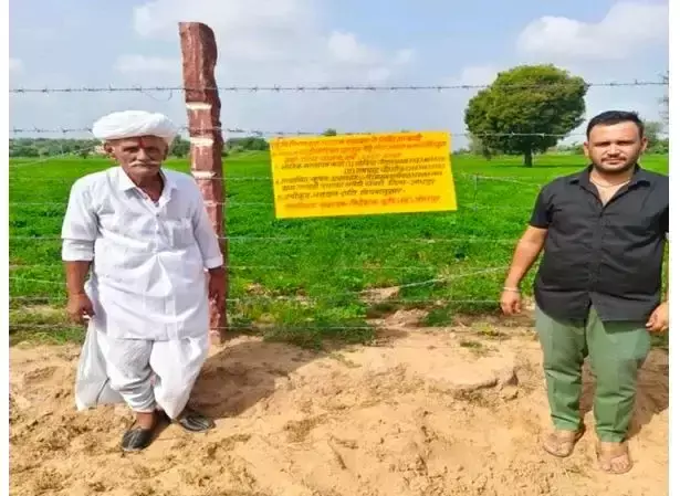 Jodhpur: फसल बचाने में तारबंदी योजना कारगर Jodhpur: फसल बचाने में तारबंदी योजना कारगर