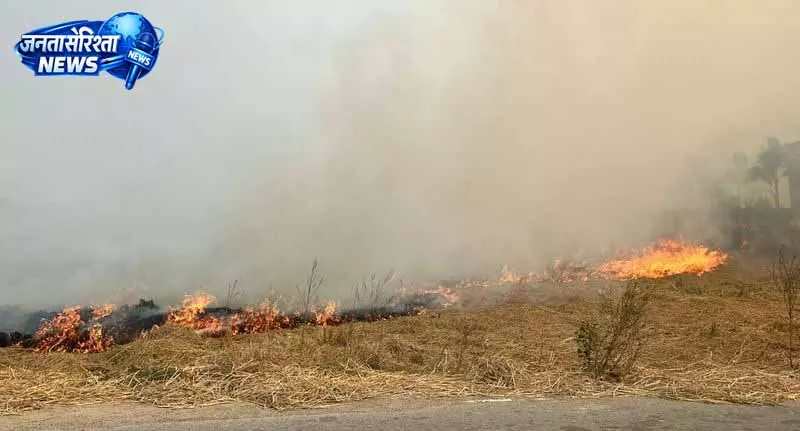 Mansa में पराली जलाने पर 18 पर केस, दो लोग गिरफ्तार Mansa में पराली जलाने पर 18 पर केस, दो लोग गिरफ्तार