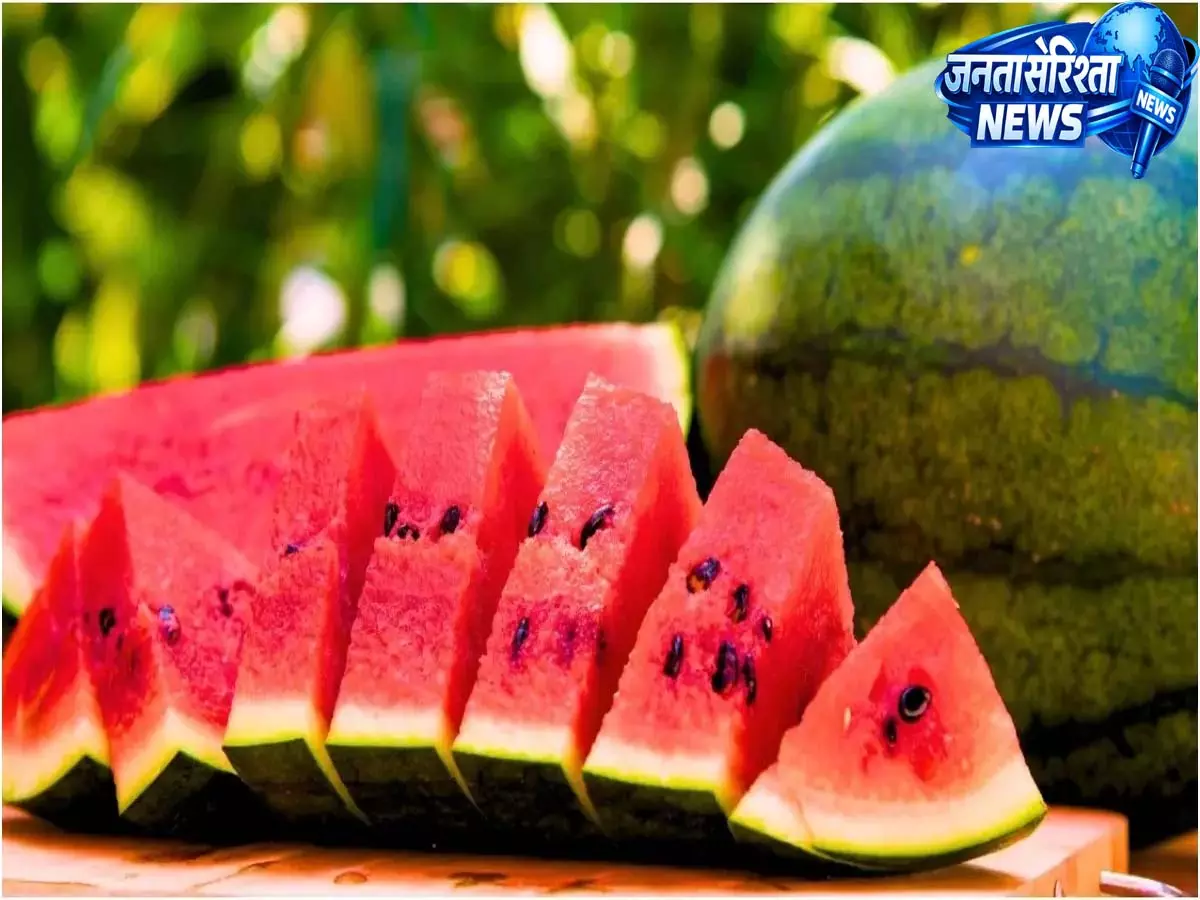 मिलावटी तरबूज की पहचान कैसे करें: स्वास्थ्य जोखिमों के बीच जरूरी सावधानियां मिलावटी तरबूज की पहचान कैसे करें: स्वास्थ्य जोखिमों के बीच जरूरी सावधानियां