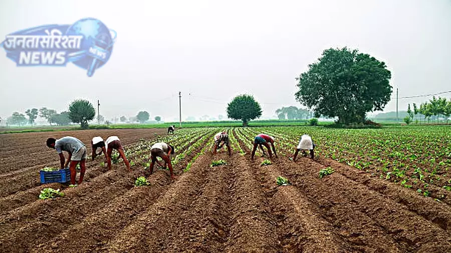 Tanzania में हरियाणा के किसानों और उद्यमियों के लिए नए निवेश अवसर Tanzania में हरियाणा के किसानों और उद्यमियों के लिए नए निवेश अवसर