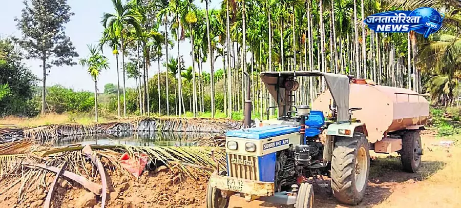 Karnataka : गर्मी और सूखे से सुपारी बागानों पर संकट Karnataka : गर्मी और सूखे से सुपारी बागानों पर संकट