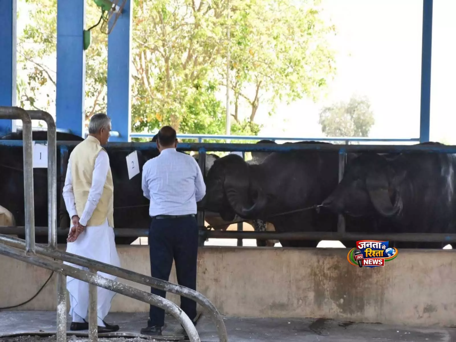 Gujarat: मादा बछड़ों के जन्म के लिए पशुपालक अपना रहे ‘सेक्सड सीमेन’ तकनीक Gujarat: मादा बछड़ों के जन्म के लिए पशुपालक अपना रहे ‘सेक्सड सीमेन’ तकनीक