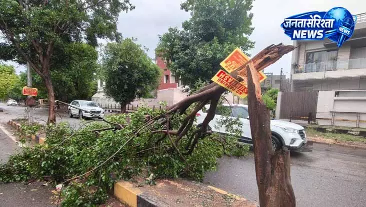 Ludhiana: नगर निगम ने सफाई और राहत कार्यों में तेजी की अपील की Ludhiana: नगर निगम ने सफाई और राहत कार्यों में तेजी की अपील की