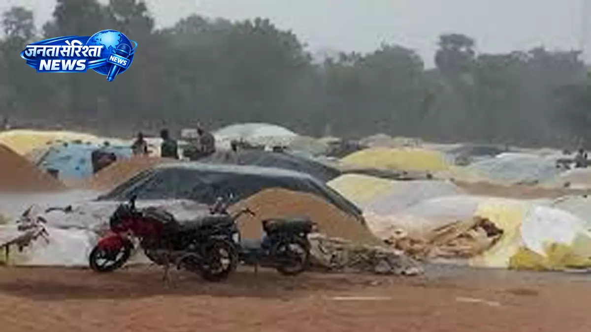 तेज़ हवाओं और बेमौसम बारिश से Warangal-Mahabubabad में फसलें बर्बाद, किसानों को भारी नुकसान तेज़ हवाओं और बेमौसम बारिश से Warangal-Mahabubabad में फसलें बर्बाद, किसानों को भारी नुकसान
