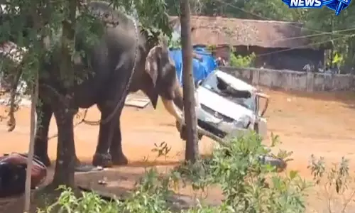 Kerala: अंगमाली के किदंगूर मंदिर में हाथी का उत्पात, एक की मौत और महावत गंभीर रूप से घायल Kerala: अंगमाली के किदंगूर मंदिर में हाथी का उत्पात, एक की मौत और महावत गंभीर रूप से घायल