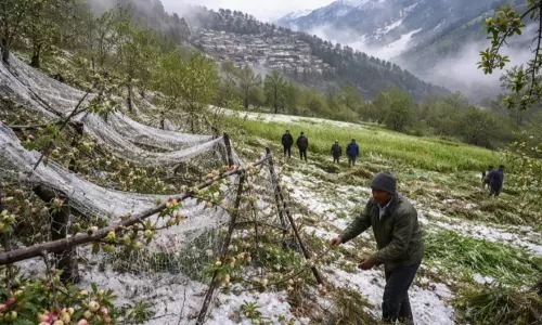 Uttarkashi: ओलावृष्टि ने उत्तरकाशी के किसानों की बढ़ाई चिंता Uttarkashi: ओलावृष्टि ने उत्तरकाशी के किसानों की बढ़ाई चिंता