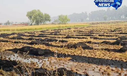 Haryana में खेतों में आग लगने की घटनाएं रिकॉर्ड स्तर पर Haryana में खेतों में आग लगने की घटनाएं रिकॉर्ड स्तर पर