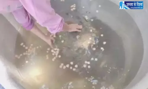 कछुए के पीछे पड़े असामाजिक तत्व, हमले के बाद हालत नाजुक