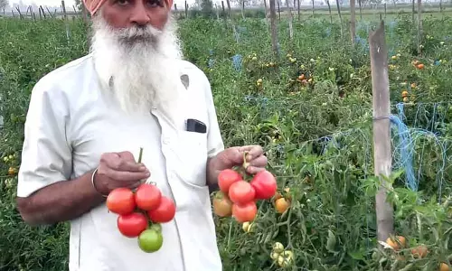 Jalandhar: कृषि में नवाचार, तीन पीढ़ियों का किसान मॉडल