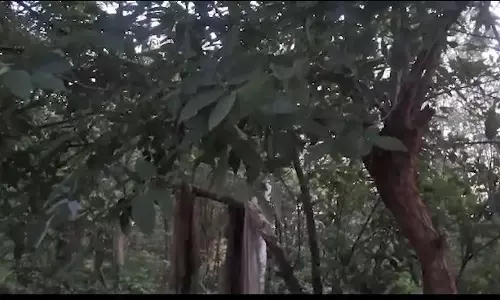 Udala में झूले की डोरी में उलझने से नाबालिग लड़के की मौत Udala में झूले की डोरी में उलझने से नाबालिग लड़के की मौत
