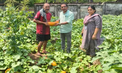 Kerala : सत्तार के खेत में एक लाख की पैदावार हुई