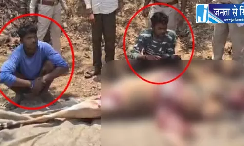 मादा नीलगाय की हत्या, शिकारी वन विभाग की गिरफ्त में