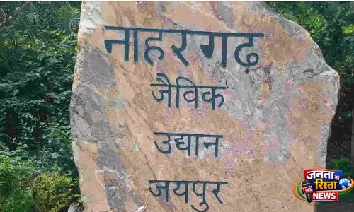 Jaipur नाहरगढ़ बायोलॉजिकल पार्क में दुखद घटना, बाघिन चमेली के नवजात शावक की मौत Jaipur नाहरगढ़ बायोलॉजिकल पार्क में दुखद घटना, बाघिन चमेली के नवजात शावक की मौत