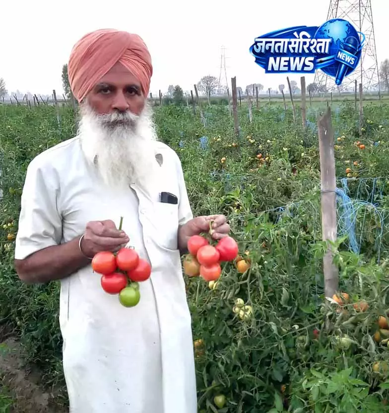 Jalandhar: कृषि में नवाचार, तीन पीढ़ियों का किसान मॉडल Jalandhar: कृषि में नवाचार, तीन पीढ़ियों का किसान मॉडल