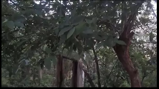 Udala में झूले की डोरी में उलझने से नाबालिग लड़के की मौत Udala में झूले की डोरी में उलझने से नाबालिग लड़के की मौत