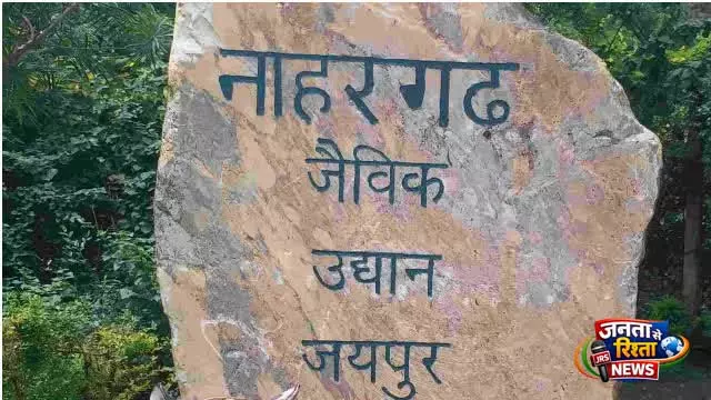 Jaipur नाहरगढ़ बायोलॉजिकल पार्क में दुखद घटना, बाघिन चमेली के नवजात शावक की मौत Jaipur नाहरगढ़ बायोलॉजिकल पार्क में दुखद घटना, बाघिन चमेली के नवजात शावक की मौत