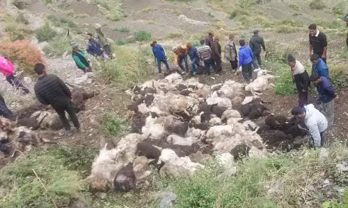 Dehradun: भेड़-बकरियों पर बिजली गिरने से भारी नुकसान Dehradun: भेड़-बकरियों पर बिजली गिरने से भारी नुकसान