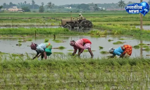 Andhra Pradesh ट्रैक्टर और फार्म मशीनरी पर 50 परसेंट सब्सिडी दे रहा है Andhra Pradesh ट्रैक्टर और फार्म मशीनरी पर 50 परसेंट सब्सिडी दे रहा है