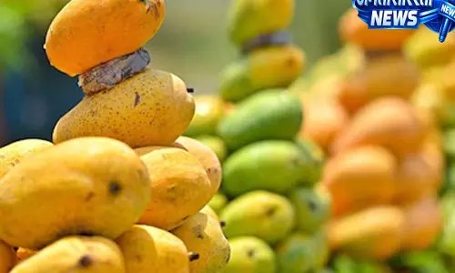 केमिकल से पका आम घर ले आए हैं? 2 मिनट में इन 4 तरीकों से करें मिलावट की पहचान