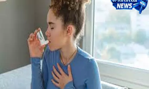 क्या आपके घर में हैं अस्थमा के ट्रिगर्स? बचाव के लिए अपनाएं ये जरूरी टिप्स क्या आपके घर में हैं अस्थमा के ट्रिगर्स? बचाव के लिए अपनाएं ये जरूरी टिप्स