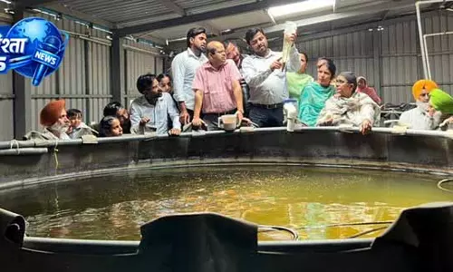 बायोफ्लोक के शौकीनों ने Ludhiana में भाग लिया कैपेसिटी-बिल्डिंग प्रोग्राम में बायोफ्लोक के शौकीनों ने Ludhiana में भाग लिया कैपेसिटी-बिल्डिंग प्रोग्राम में