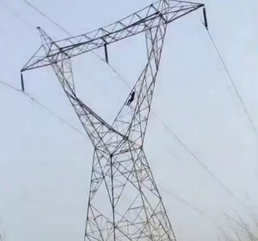 अरे पत्नी को बुलाओं, हाईटेंशन बिजली टॉवर में चढ़कर पति ने किया ड्रामा अरे पत्नी को बुलाओं, हाईटेंशन बिजली टॉवर में चढ़कर पति ने किया ड्रामा
