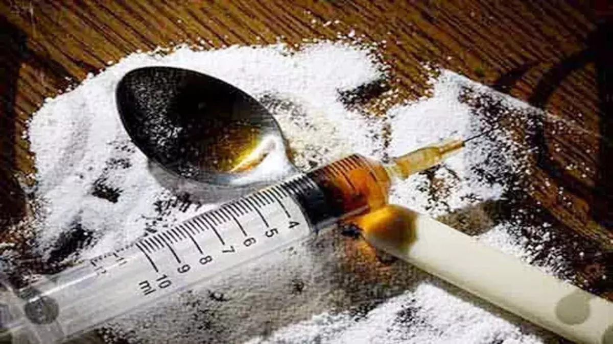 Anantnag: बड़ी कार्रवाई में नशीले पदार्थों का जखीरा जब्त Anantnag: बड़ी कार्रवाई में नशीले पदार्थों का जखीरा जब्त