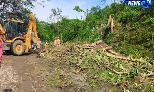 Deepor Beel Elevated Corridor: पेड़ों की कटाई और पर्यावरणीय असर पर चिंता Deepor Beel Elevated Corridor: पेड़ों की कटाई और पर्यावरणीय असर पर चिंता