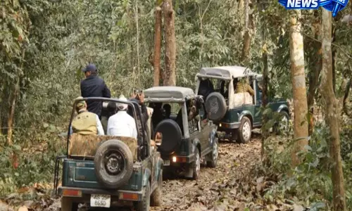 काजीरंगा रिकार्ड ब्रेकर: असम में 2025-26 में 4.7 लाख टूरिस्ट आने का अनुमान