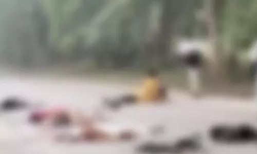 पिकअप वैन पलटने से चार आर्केस्ट्रा कर्मियों की मौत, 6 घायल पिकअप वैन पलटने से चार आर्केस्ट्रा कर्मियों की मौत, 6 घायल