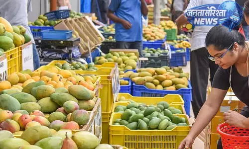 Bengaluru : आम और कटहल मेले की शुरुआत, किसानों को मिलेगा सीधा बाजार Bengaluru : आम और कटहल मेले की शुरुआत, किसानों को मिलेगा सीधा बाजार