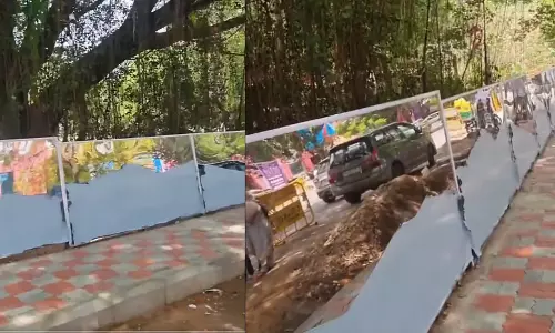 Mysore : खुले में पेशाब रोकने के लिए अनोखी पहल, दीवार पर लगाए गए रिफ्लेक्टिव मिरर