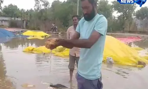 Hyderabad: जयशंकर भूपलपल्ली में भारी बारिश से धान को नुकसान Hyderabad: जयशंकर भूपलपल्ली में भारी बारिश से धान को नुकसान