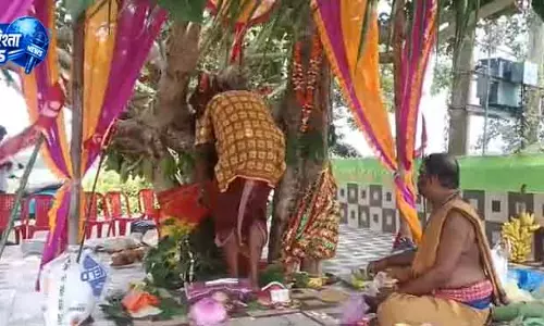 Puri वायरल शादी: बरगद और पीपल की रस्म Puri वायरल शादी: बरगद और पीपल की रस्म