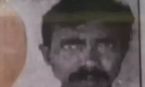 सब्जी फार्म हाउस में मधुमक्खियों का डेरा, मजदूर की मौत सब्जी फार्म हाउस में मधुमक्खियों का डेरा, मजदूर की मौत