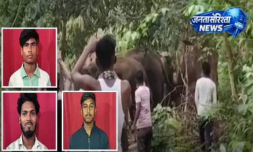 Keonjhar police ने हाथियों पर हमला करने वाले 3 लोगों को हिरासत में लिया Keonjhar police ने हाथियों पर हमला करने वाले 3 लोगों को हिरासत में लिया